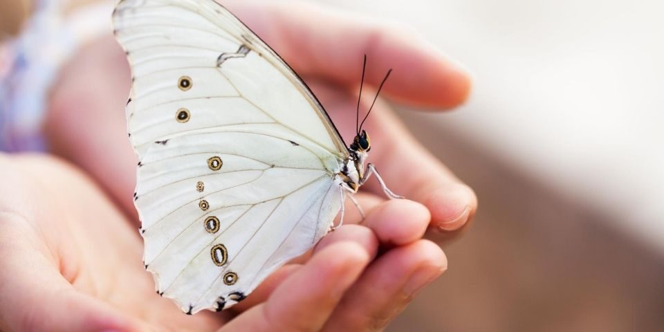 NAASC-Promoting-Competency-Based-Approach-To-Education-Beauty